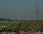 Groningse Nieuwe 20 / landmeters